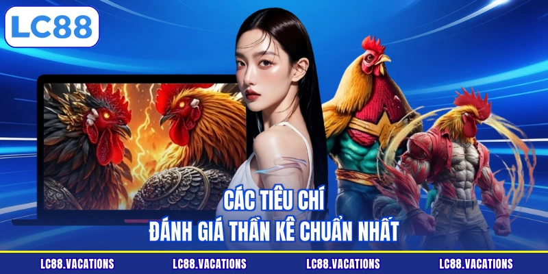 Các tiêu chí đánh giá thần kê chuẩn nhất