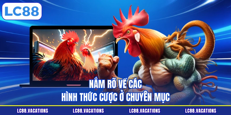 Nắm rõ về các hình thức cược ở chuyên mục